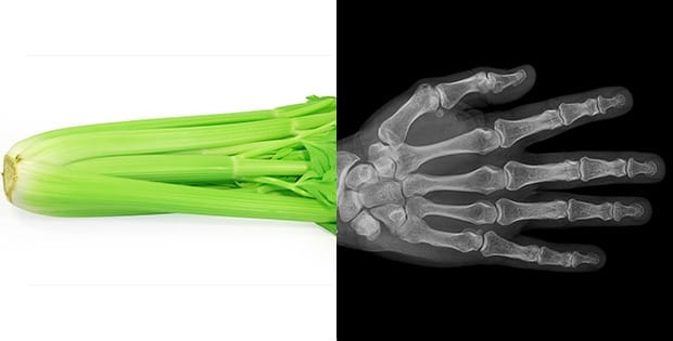 celery-and-bones