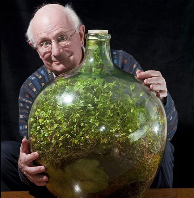 Homem cultiva jardim em garrafa que não recebe água desde 1972