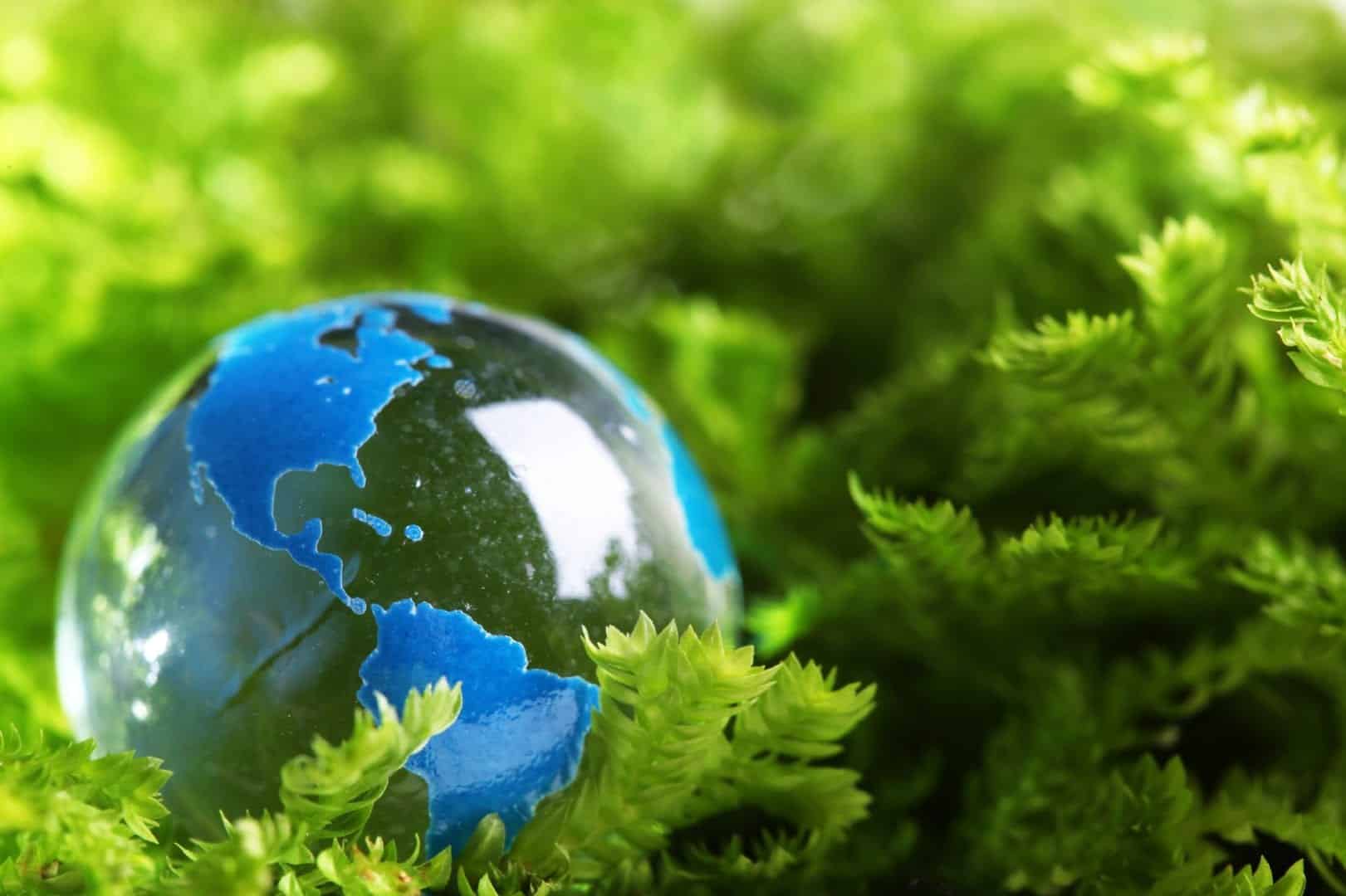 O Desenvolvimento Sustentável visa conter os impactos ambientais