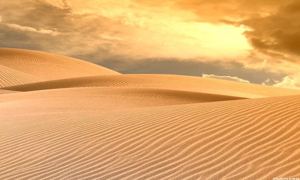 Você sabia que 20% da superfície da Terra é composta por desertos?