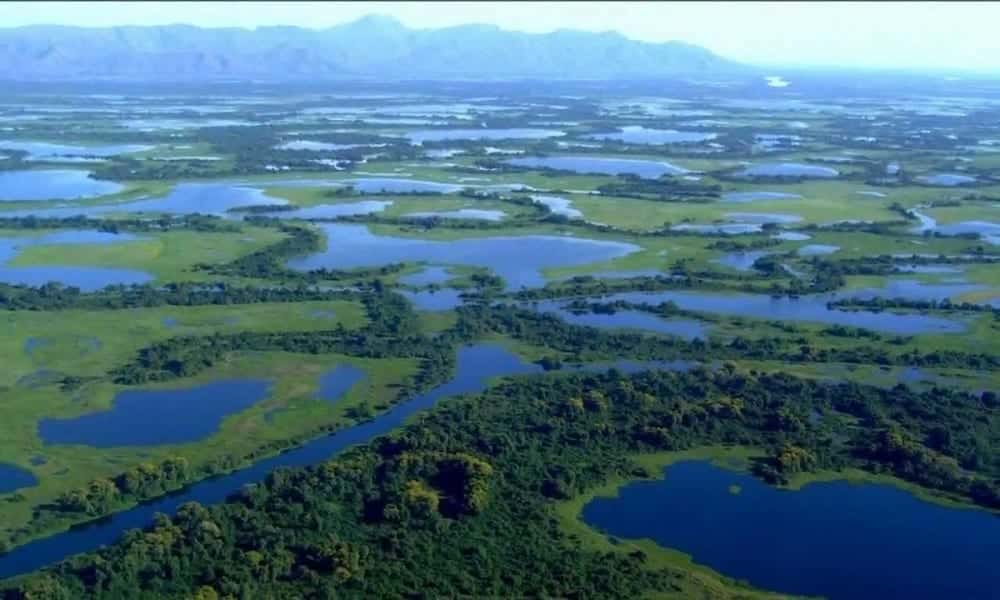 Você sabia que o Pantanal é um bioma rico em biodiversidade?