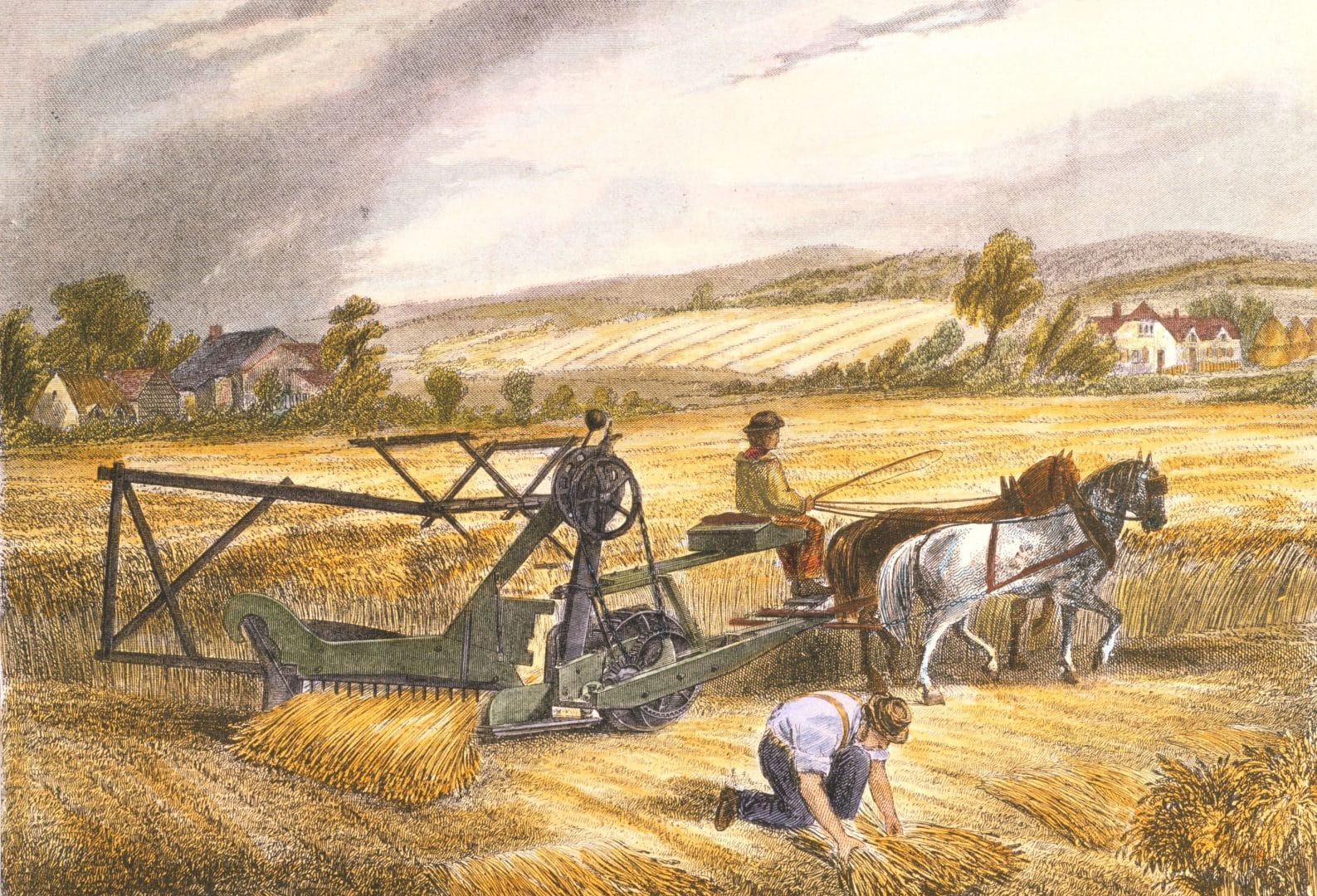 Conheça a Revolução Agrícola – onde, como foi implantada e as técnicas