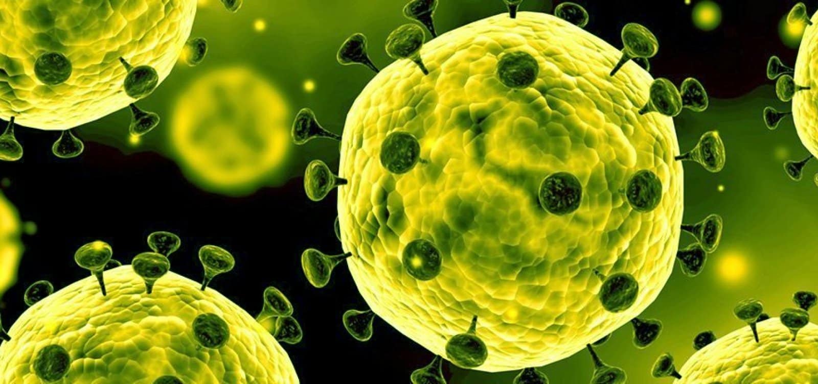 Vírus, o que são? Definição, estrutura, viroses e como se reproduzem