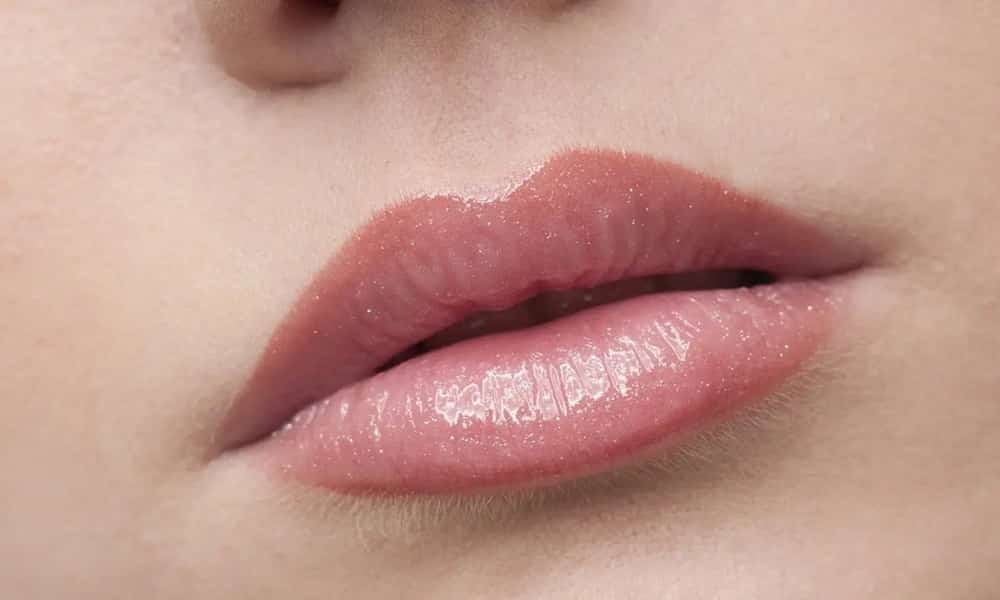 Lábios – características, função, anatomia e histologia