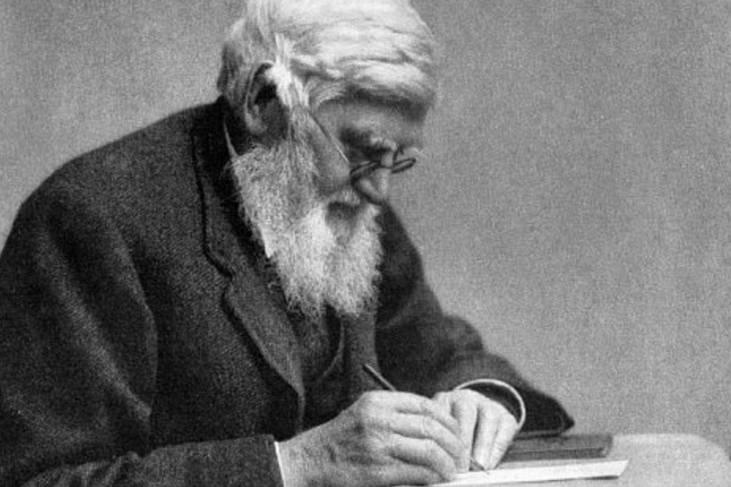 Darwin, quem foi? História, principais descobertas e Teoria da Evolução