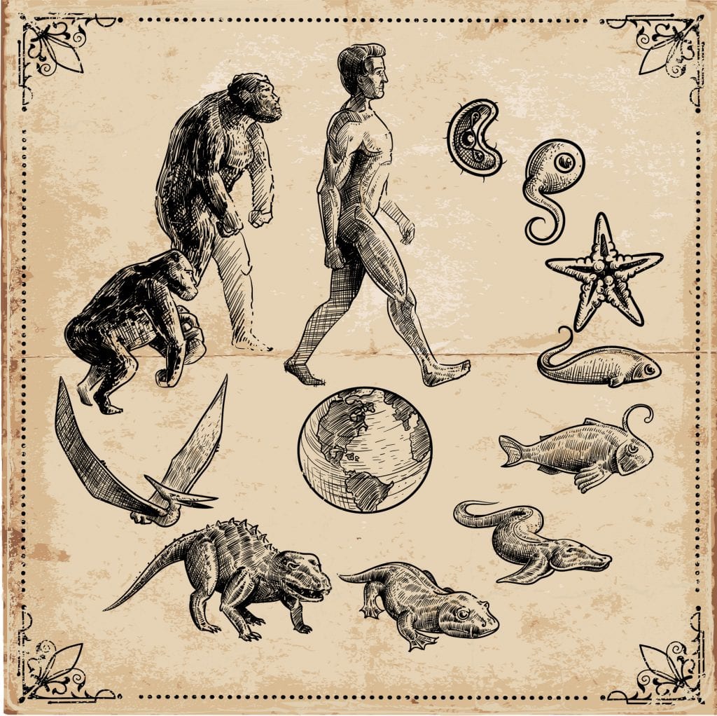Darwin, quem foi? História, principais descobertas e Teoria da Evolução