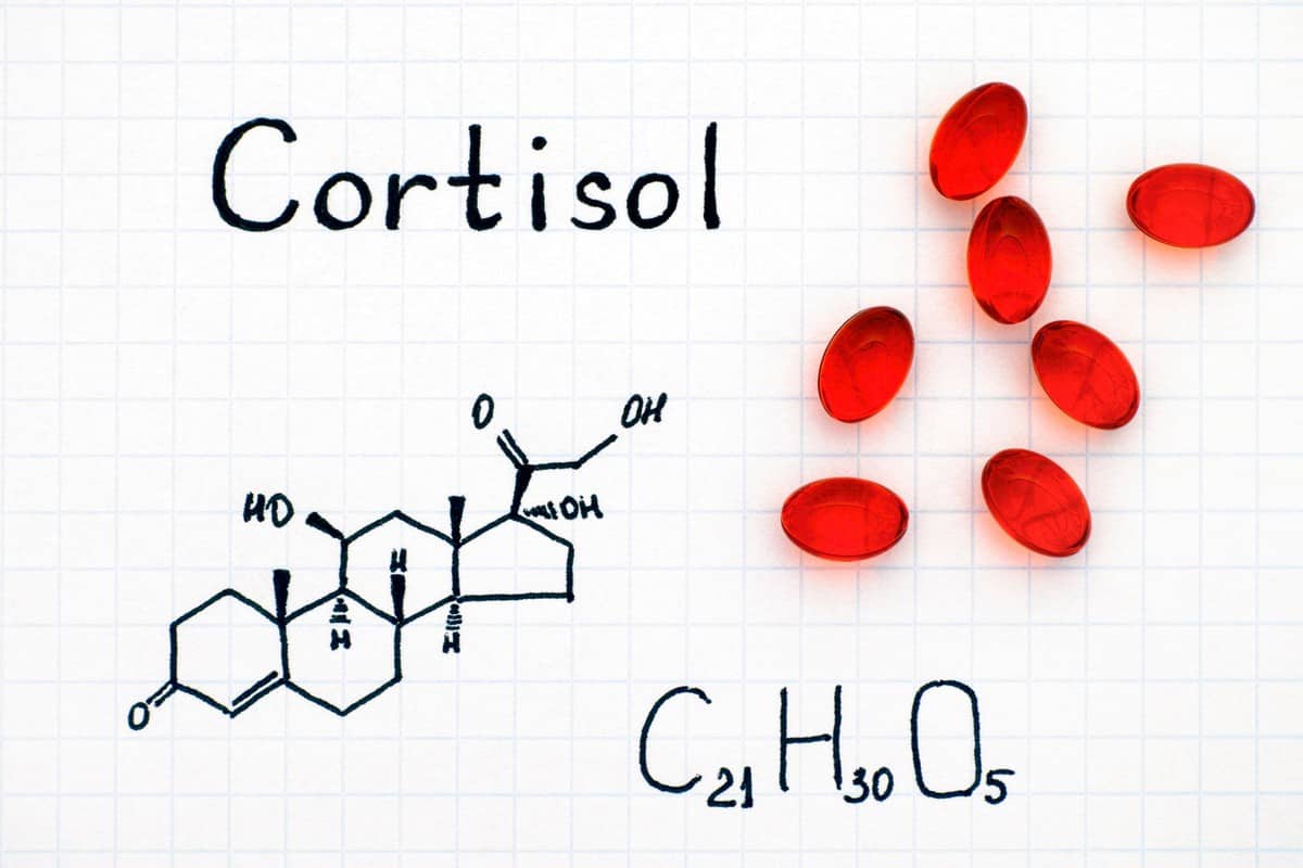 Cortisol, o que é? Definição, como é liberado e efeitos no organismo