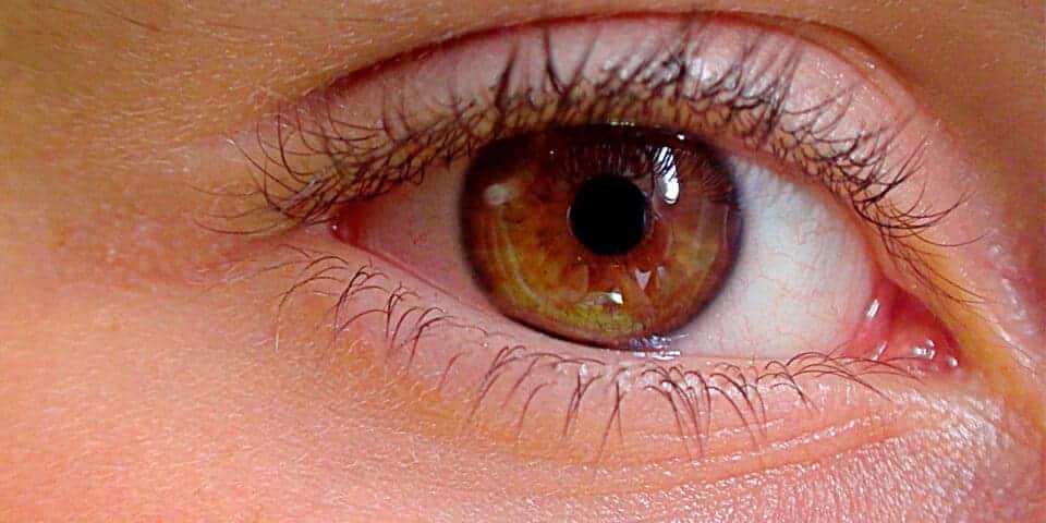 Cores dos olhos: Incidências, genética e variações fenotípicas