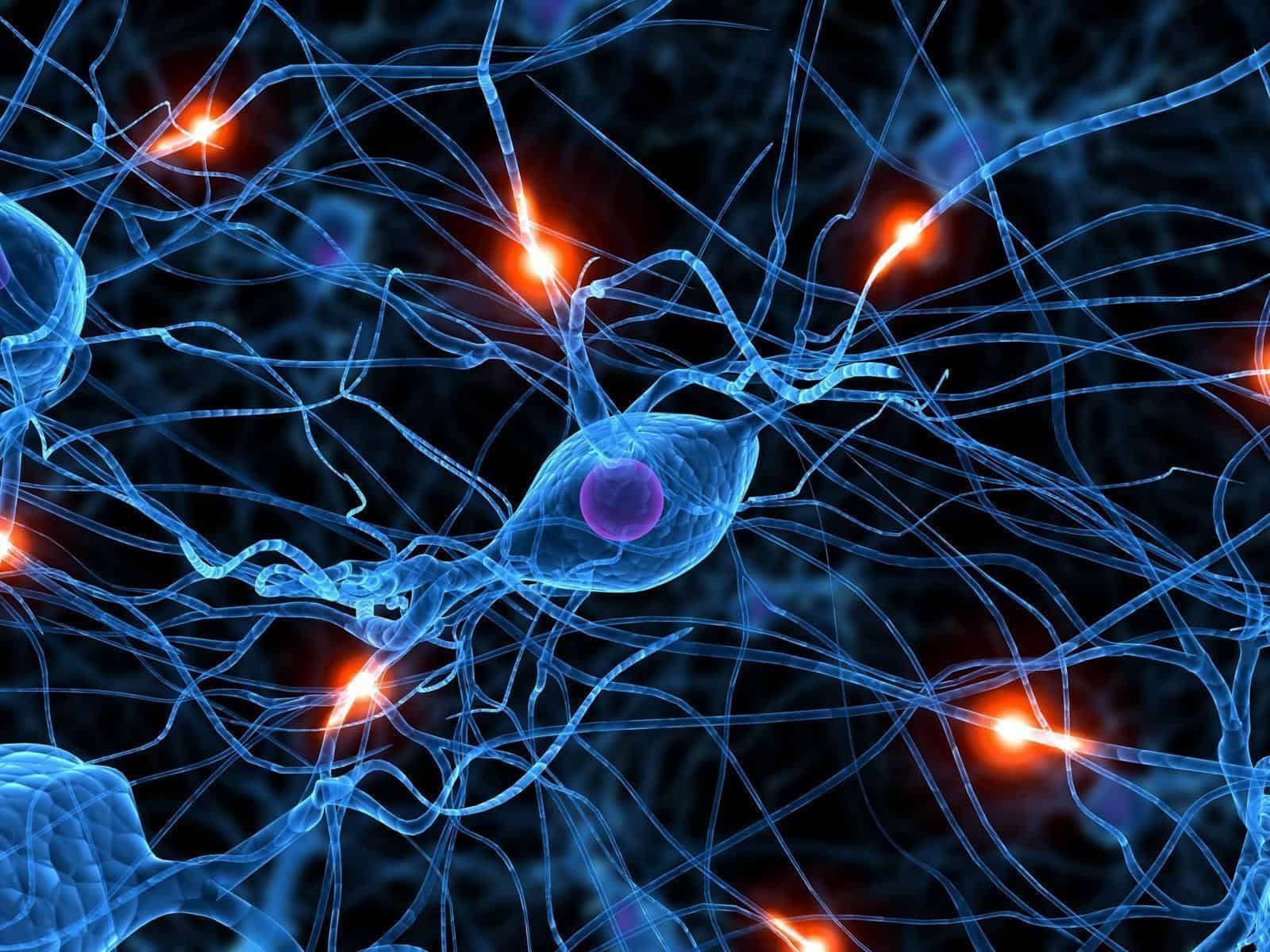 O que é sinapse?
