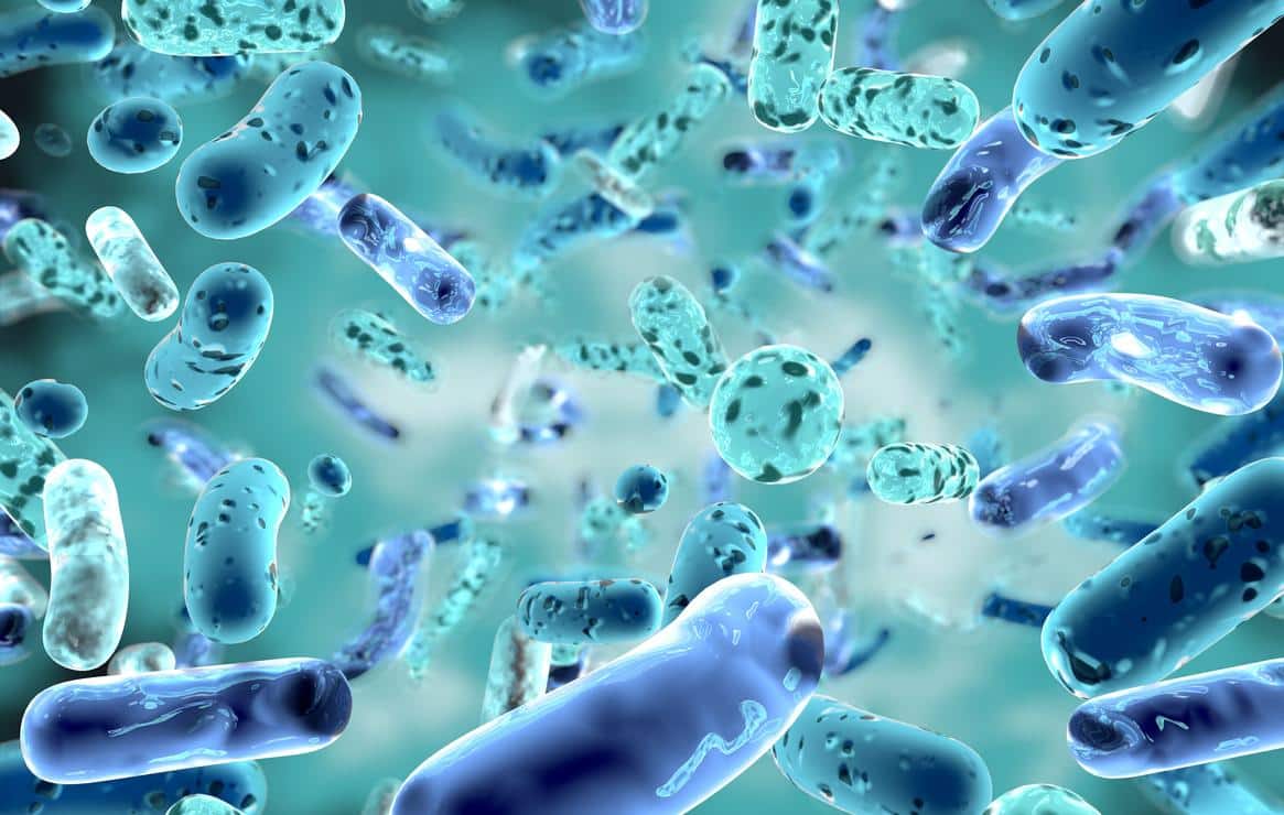 Conheça as bactérias presentes no corpo humano e curiosidades