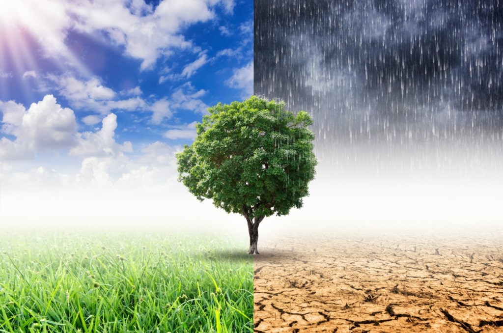 diferença entre clima e tempo